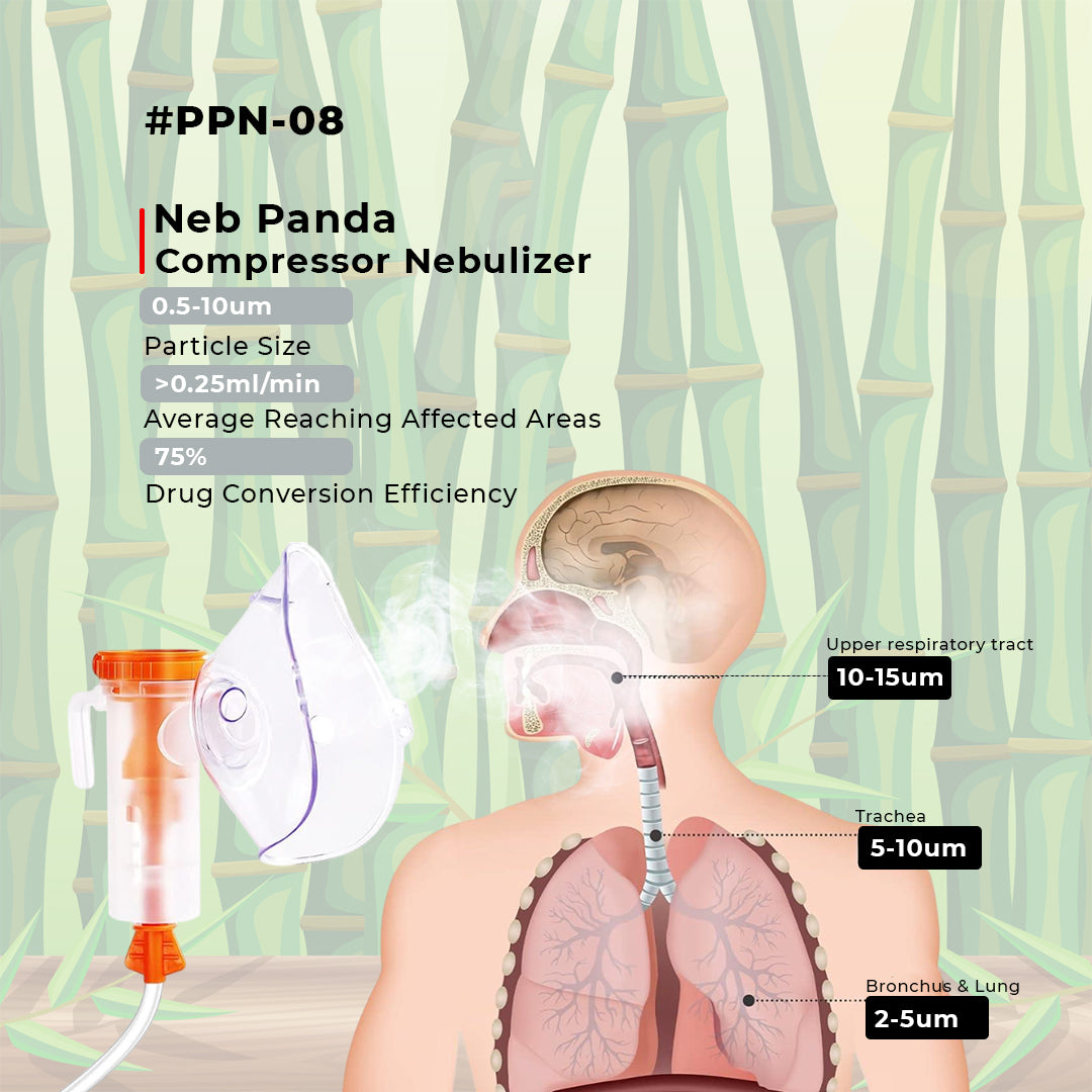 Diagram of a compressor nebulizer with lung anatomy and particle size information.